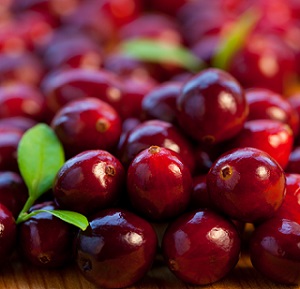 APHIS inicia consulta para permitir ingreso de cranberry fresco de Chile a EE.UU.