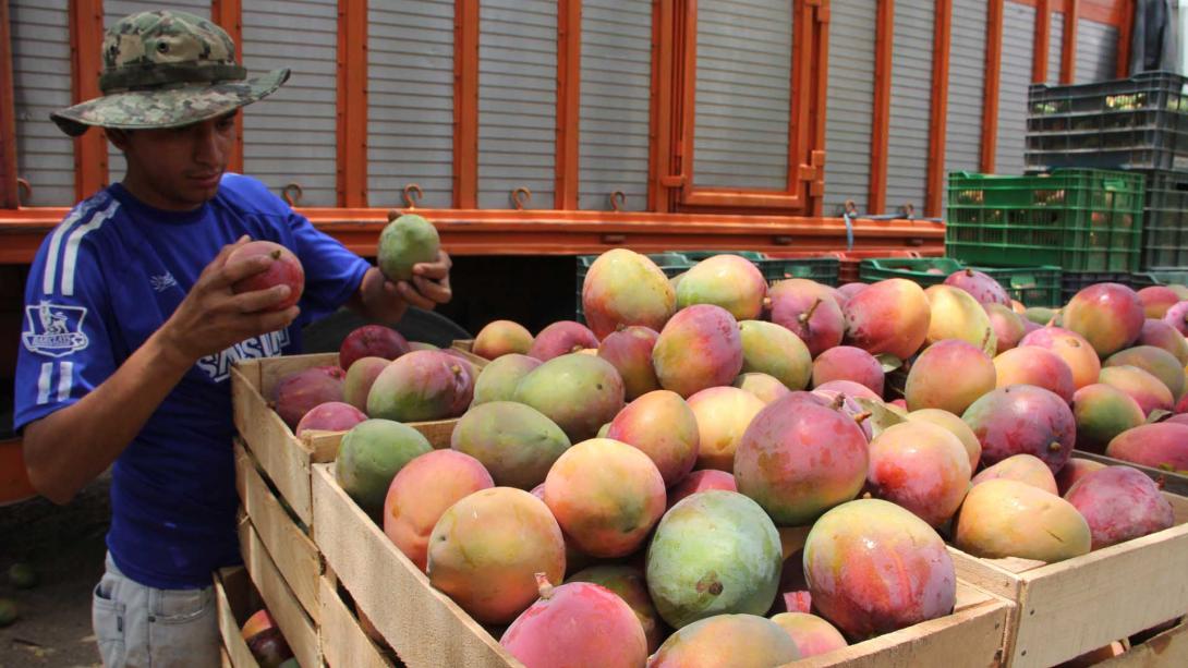 Lambayeque: exportadores lamentan sobretasa arancelaria de Ecuador