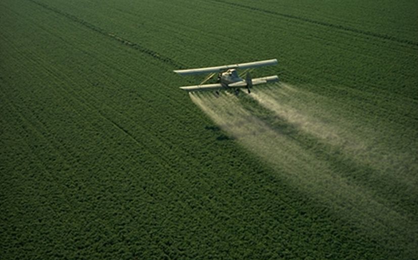 OMS: Qu insecticidas ha declarado como 'probablemente' cancergenos?