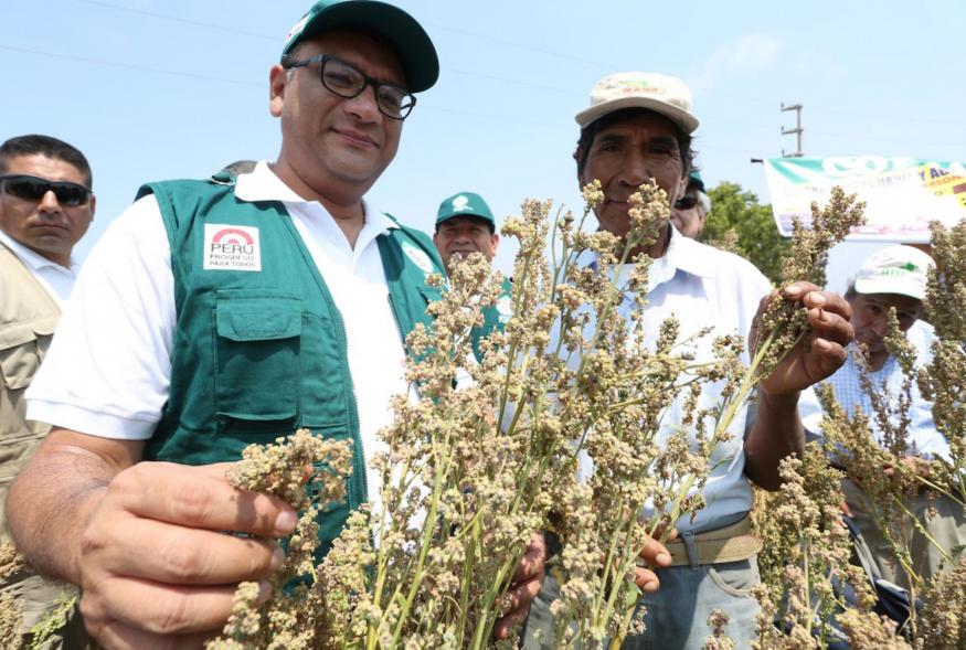 Benites: Sierra Exportadora permitir potenciar agro y conquistar nuevos mercados