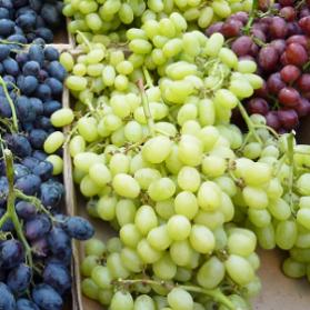 Panorama internacional complica a exportadores chilenos de uva de mesa