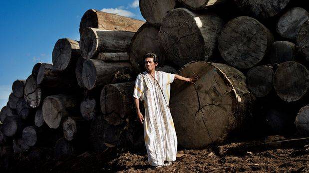 Ucayali: excluyen a Saweto de bosques para produccin maderera