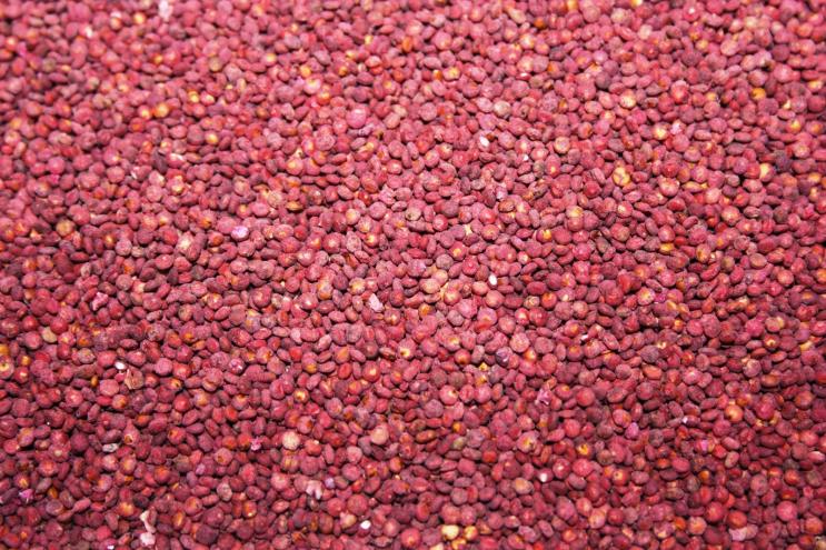 Bolivia trabaja en mejorar rendimiento de quinua