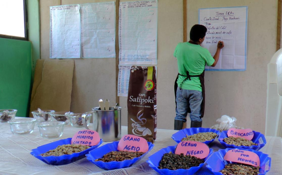 Mejorarn calidad de caf con escuelas de campo en Satipo