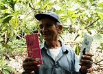 agro-noticias/attachments/7224-cacao-peruano.jpg