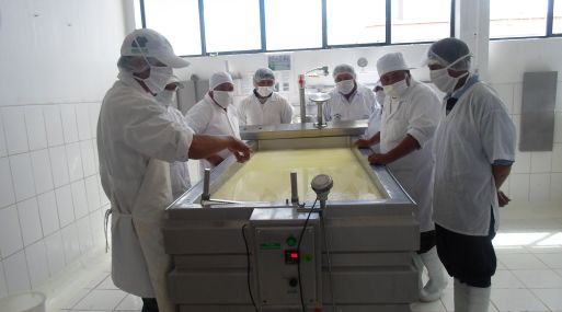 Nueve plantas queseras de Puno logran ventas por ms de S/. 1 milln en primer trimestre
