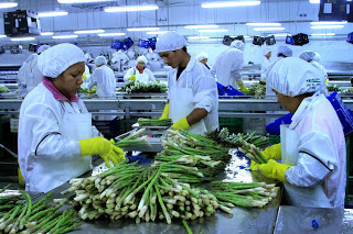 Minagri: Sigue auge de las agroexportaciones
