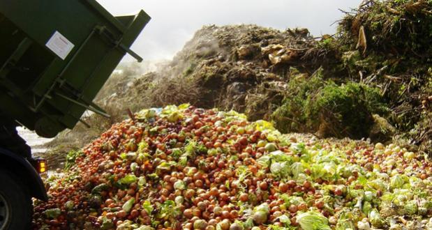 FAO: Desperdicio de alimentos impide eliminar el hambre en Latinoamrica