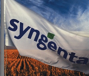Syngenta rechaza nuevamente a Monsanto