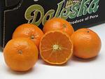agro-noticias/attachments/8772-mandarinas-clementinas-peru.jpg