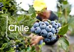 agro-noticias/attachments/9475-foods-from-chile.jpg