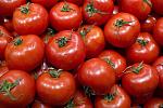 agro-noticias/attachments/9808-tomates.jpg