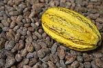 agro-noticias/attachments/9914-exportacion-cacao.jpg
