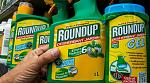 agro-noticias/attachments/9954-herbicida-roundup-monsanto.jpg
