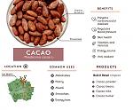 Clic en la imagen para ver su versin completa. 

Nombre: Brochure-cacao.jpg 
Visitas: 377 
Tamao: 61.9 KB 
ID: 18165
