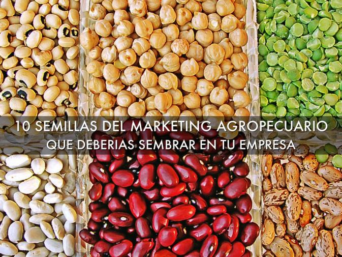 marketing agropecuario, semillas