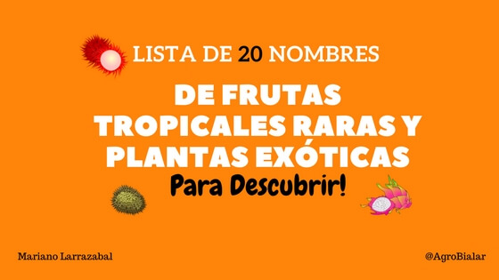 Clic en la imagen para ver su versión completa. 

Nombre: Frutas Tropicales Raras y Plantas Exóticas.jpg 
Visitas: 1729 
Tamaño: 37.7 KB 
ID: 16542