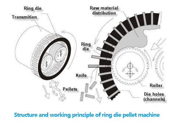 Nombre:  working-principles-of-pellet-mills-ring-die-pellet-mill.jpg
Visitas: 1229
Tamao: 93.5 KB
