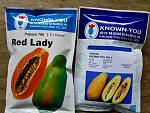 blogs/asalvador/attachments/10671-se-vende-semilla-y-plantines-de-papaya-hibrida-img_20151219_133517.jpg