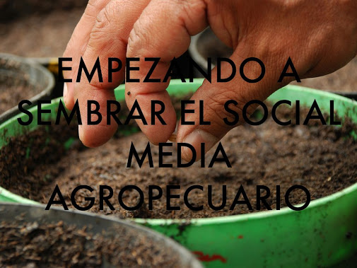 marketing agropecuario, social media, bialar,