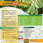 blogs/boschetti/attachments/3787-productos-organicos-nitrogenados-aminoacidos-pag-ilsamin-boro.jpg