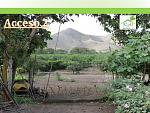 blogs/cpt-business/attachments/9574-vendo-terreno-agricola-de-2-40-has-plantaciones-produccion-de-mandarina-y-naranja-huando-original-lugar-huando-huando-diapositiva8.jpg