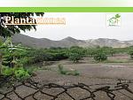 blogs/cpt-business/attachments/9576-vendo-terreno-agricola-de-2-40-has-plantaciones-produccion-de-mandarina-y-naranja-huando-original-lugar-huando-huando-diapositiva11.jpg