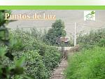 blogs/cpt-business/attachments/9577-vendo-terreno-agricola-de-2-40-has-plantaciones-produccion-de-mandarina-y-naranja-huando-original-lugar-huando-huando-diapositiva14.jpg