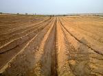 blogs/jesa/attachments/5242-se-vende-fundo-agricola-de-12-has-irrigacion-paraiso-huacho-16122010620.jpg