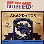 blogs/jmanuelsm/attachments/17400-venta-de-arandano-blue01.jpg