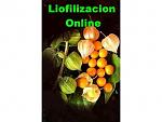 blogs/liofilizaciononline/attachments/2483-curso-de-liofilizacion-de-alimentos-enfasis-frutas-tropicales-consultoria-liofilizacion-cartagena-bolivar-colombia__4076ff_1.jpg
