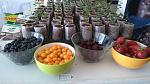 blogs/organics-andina/attachments/12915-organics-andina-nueva-tecnologia-sistema-ellepot-viveros-y-semilleros-ellepot-berries-2.jpg