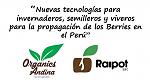 blogs/organics-andina/attachments/15619-nuevas-tecnologias-invernaderos-semilleros-y-viveros-propagacion-de-berries-arandanos-peru-raipot-1.jpg
