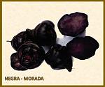 blogs/peruvian-organic-foods/attachments/11022-compro-mashua-negra-cantidad-limitada-nm.jpg
